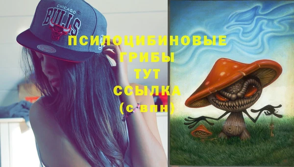 spice Костерёво