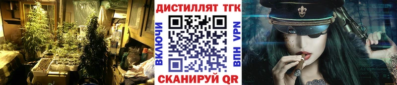 где найти   Горбатов  ТГК THC oil 
