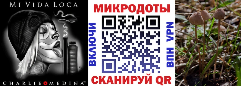 KRAKEN зеркало  Горбатов  мориарти как зайти  где купить наркотик  Псилоцибиновые грибы мицелий 