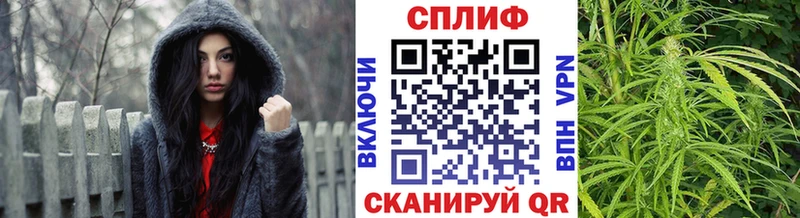 darknet формула  Горбатов  Конопля планчик 